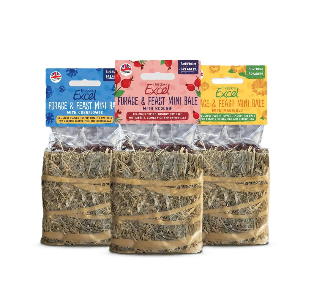 Burgess Excel Small Animal Treats Forage & Feast - 100g