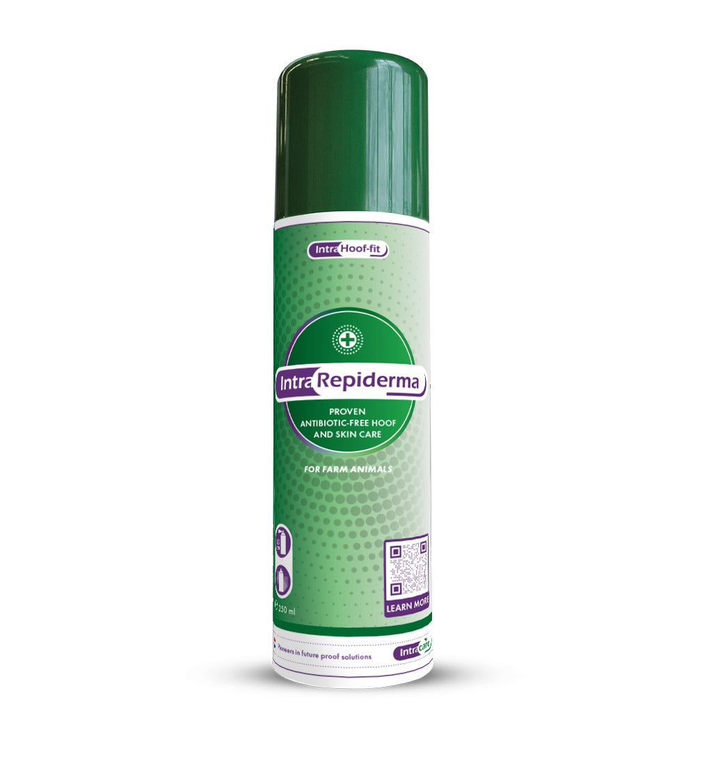 Intra Repiderma Spray - 250ml