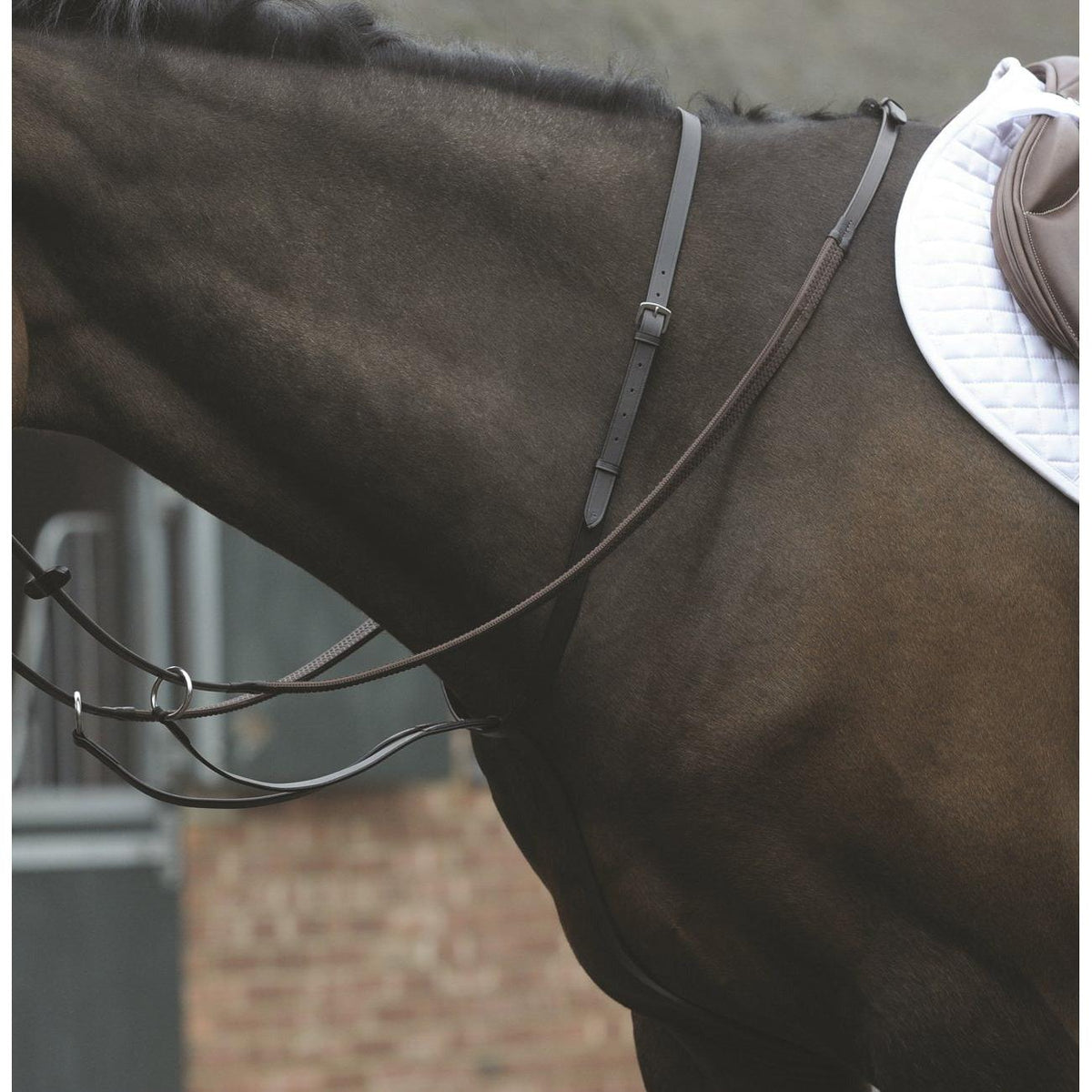 Kincade Running Martingale