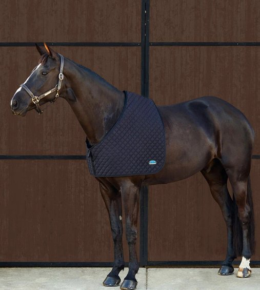 Weatherbeeta Deluxe Shoulder Guard
