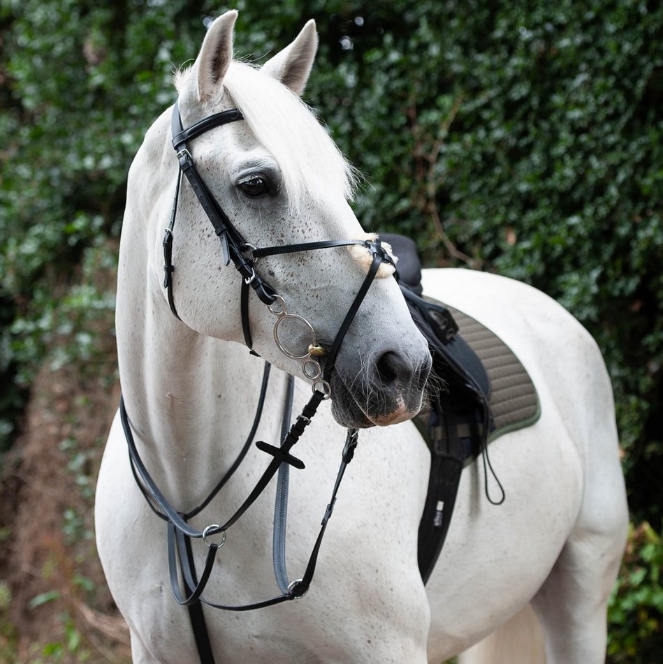 Gallop Breast Plate Martingale