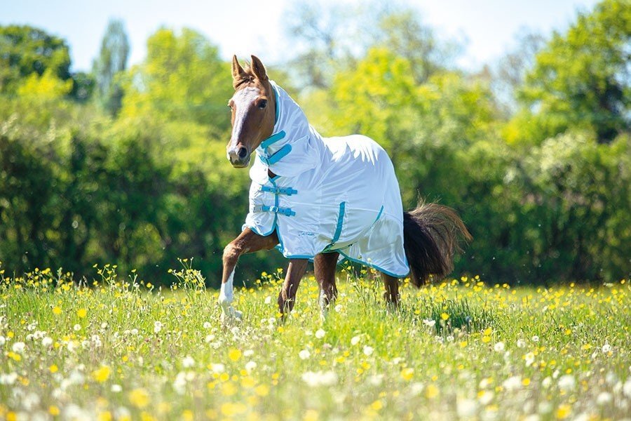 Shires Tempest Original Fly Combo Rug