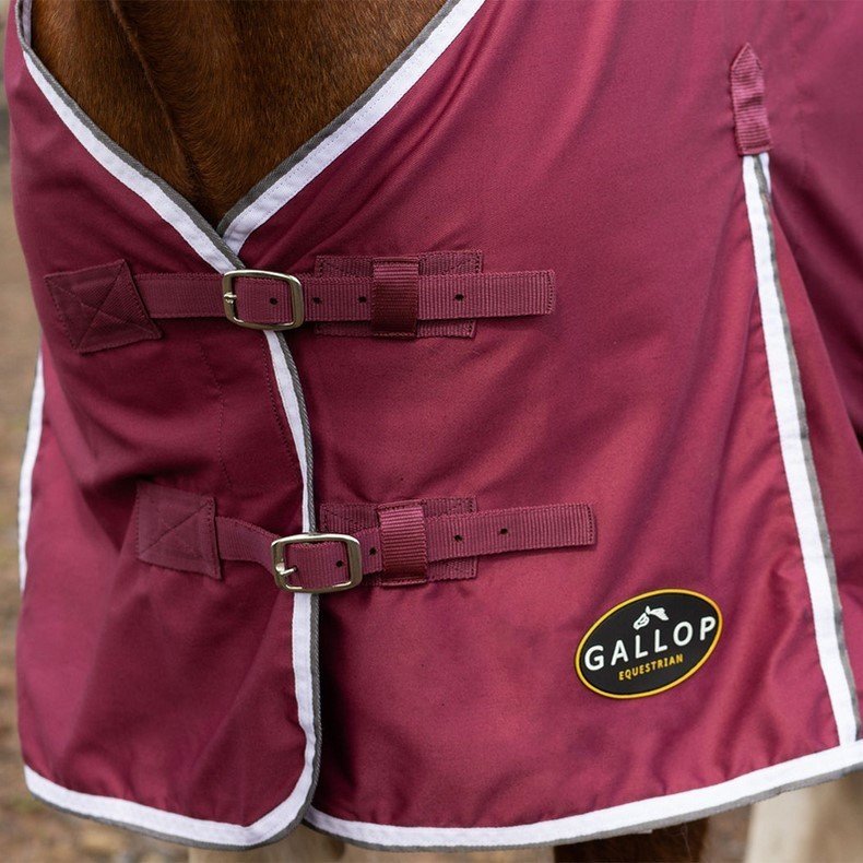 New Gallop Summer Sheet