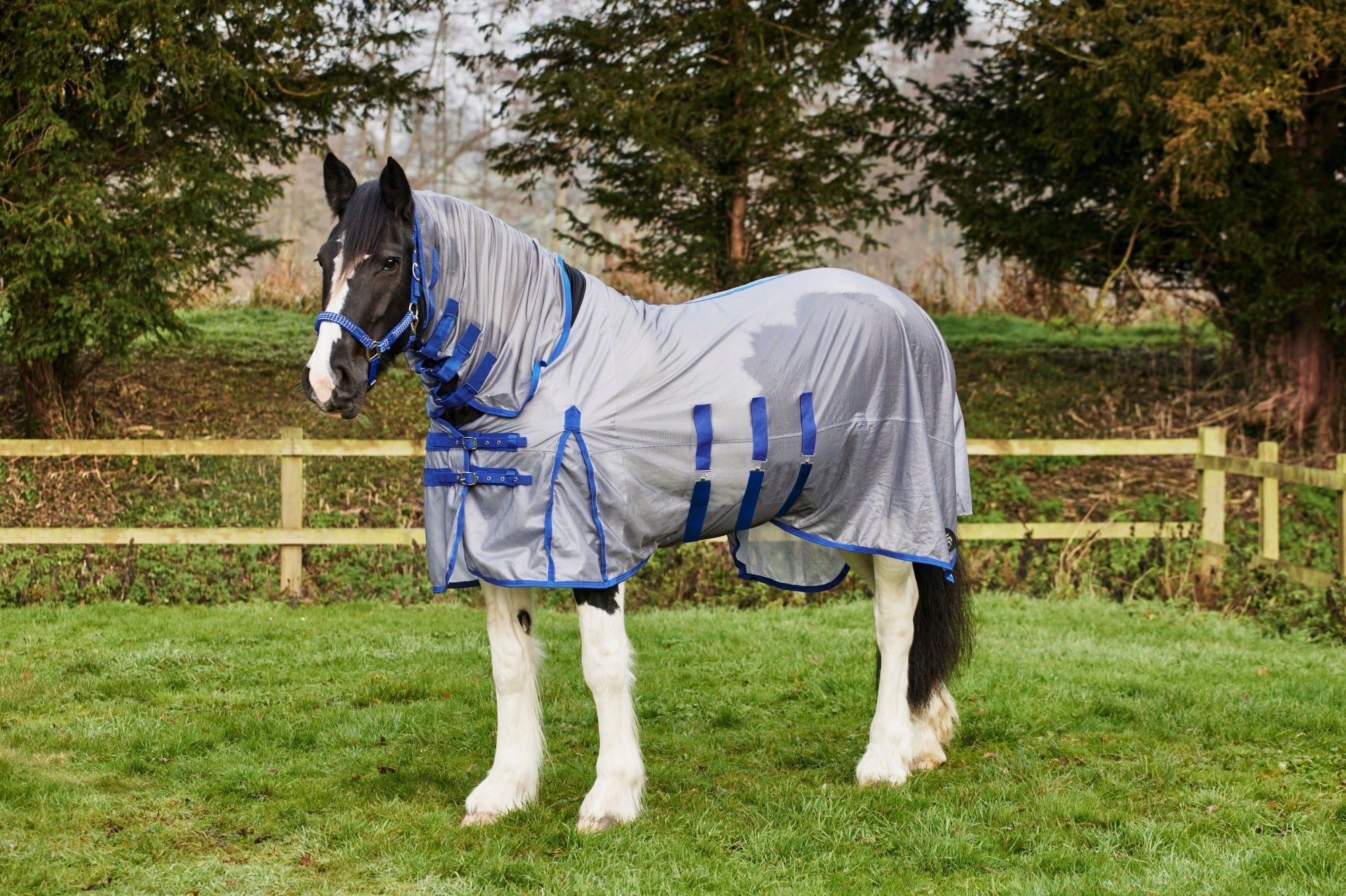 Firefoot Fixed Neck Fly Rug