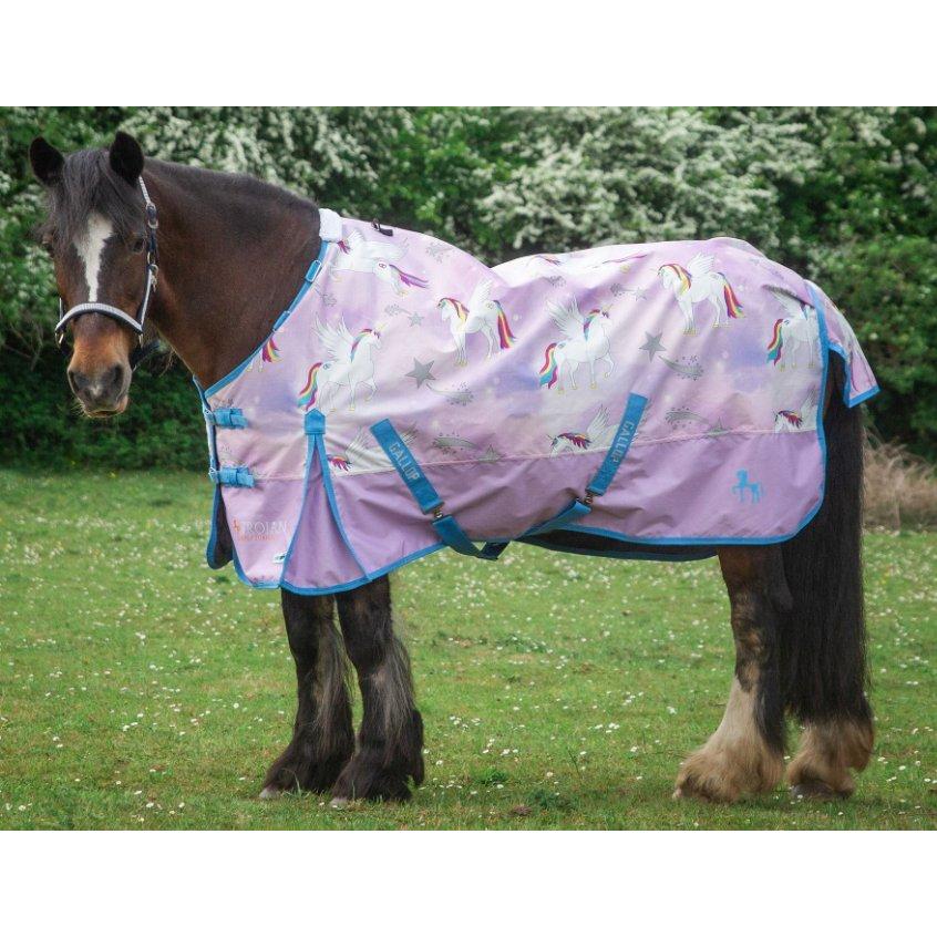 GALLOP TROJAN 'Pegacorn' Duraproof Lightweight Turnout