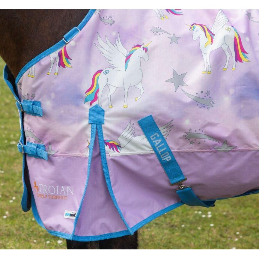 GALLOP TROJAN 'Pegacorn' Duraproof Lightweight Turnout