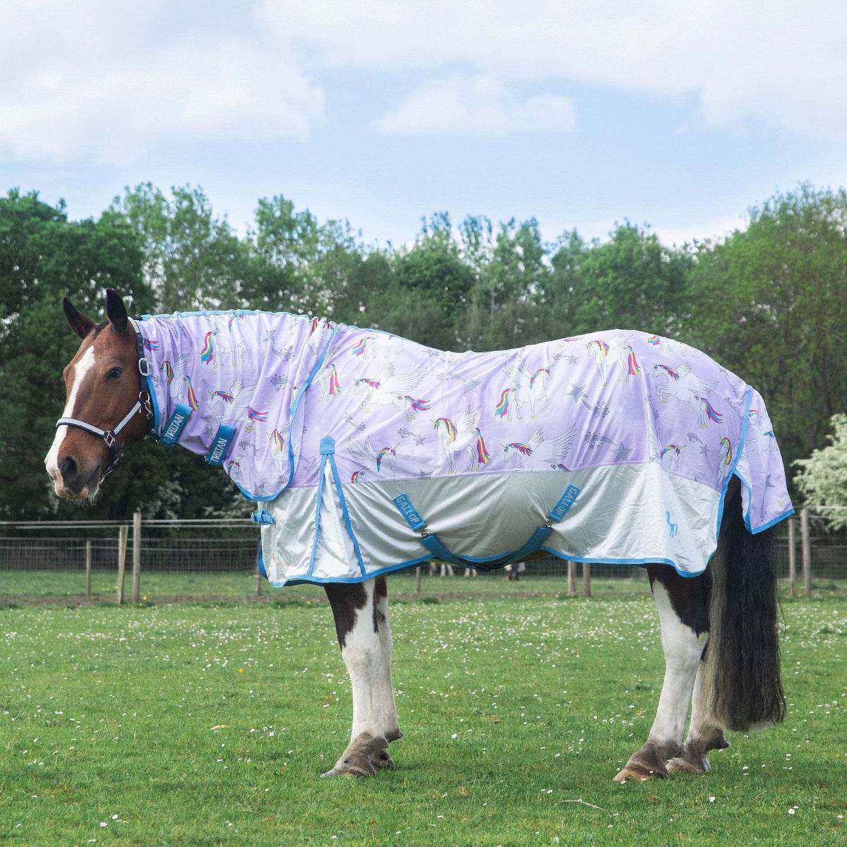 Gallop TROJAN 'Pegacorn' Combo Fly Rug