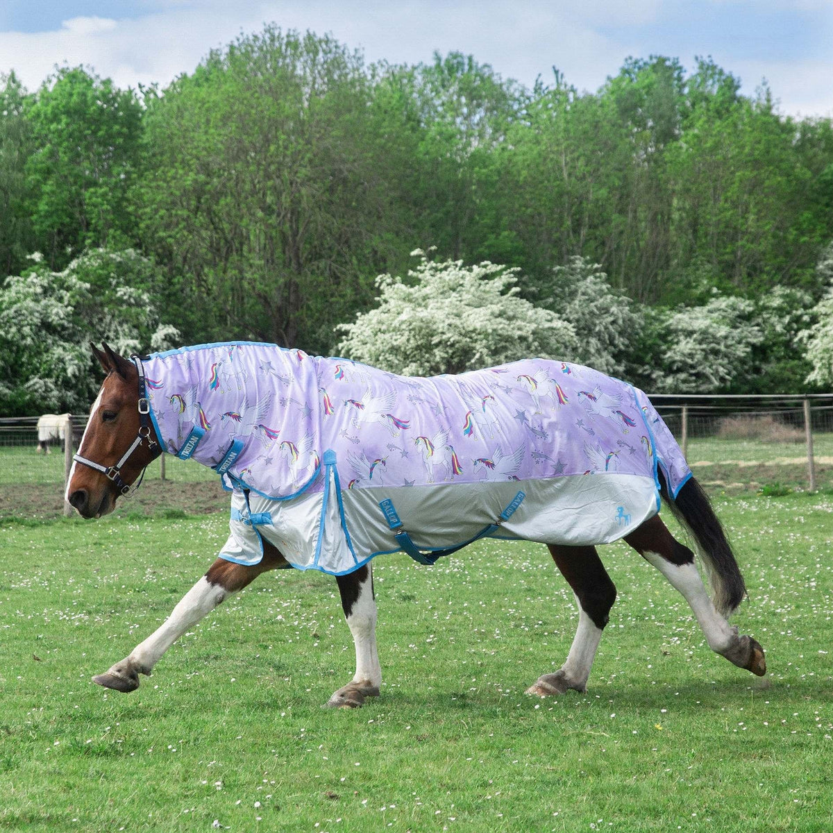 Gallop TROJAN 'Pegacorn' Combo Fly Rug