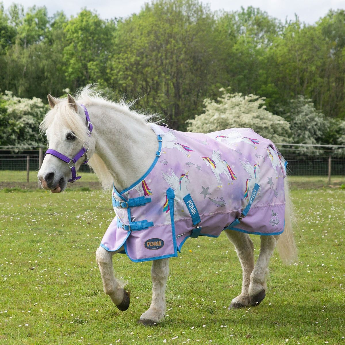 Gallop PONIE 'Pegacorn' Duraproof Lightweight Turnout
