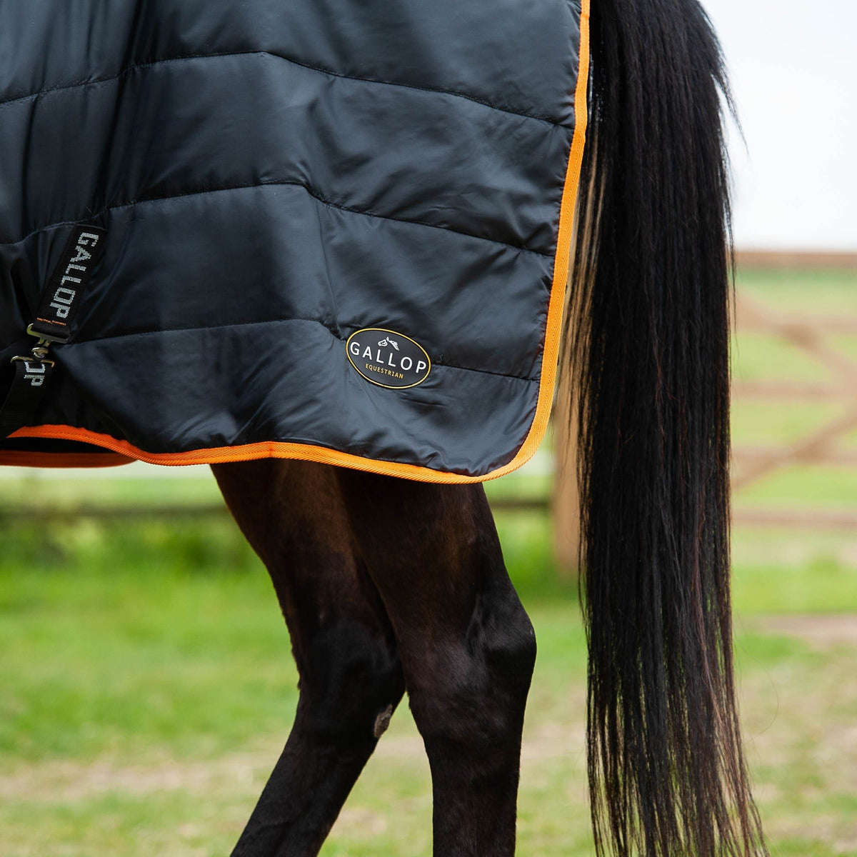Gallop Trojan / Mavrick 100 Stable Rug