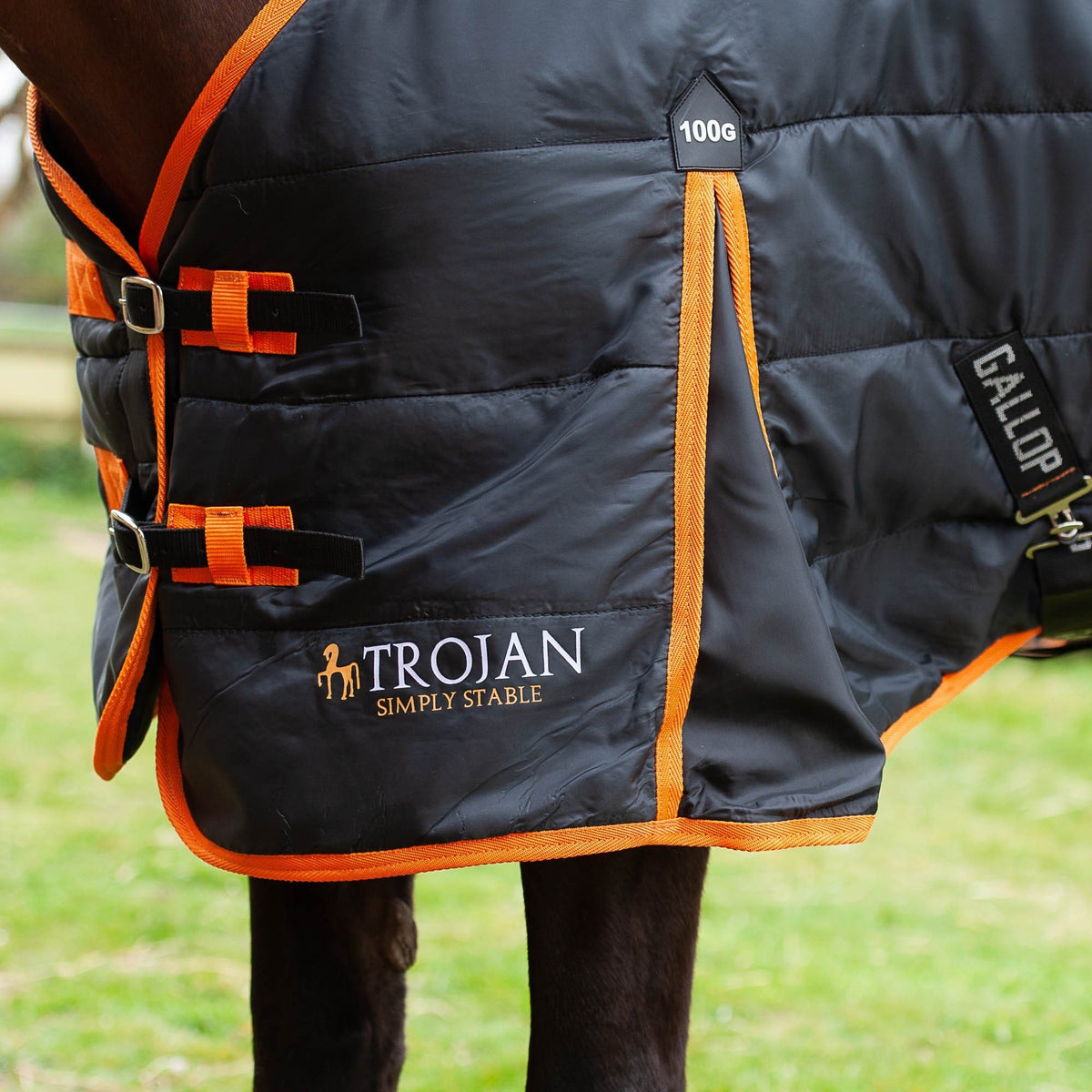 Gallop Trojan / Mavrick 100 Stable Rug