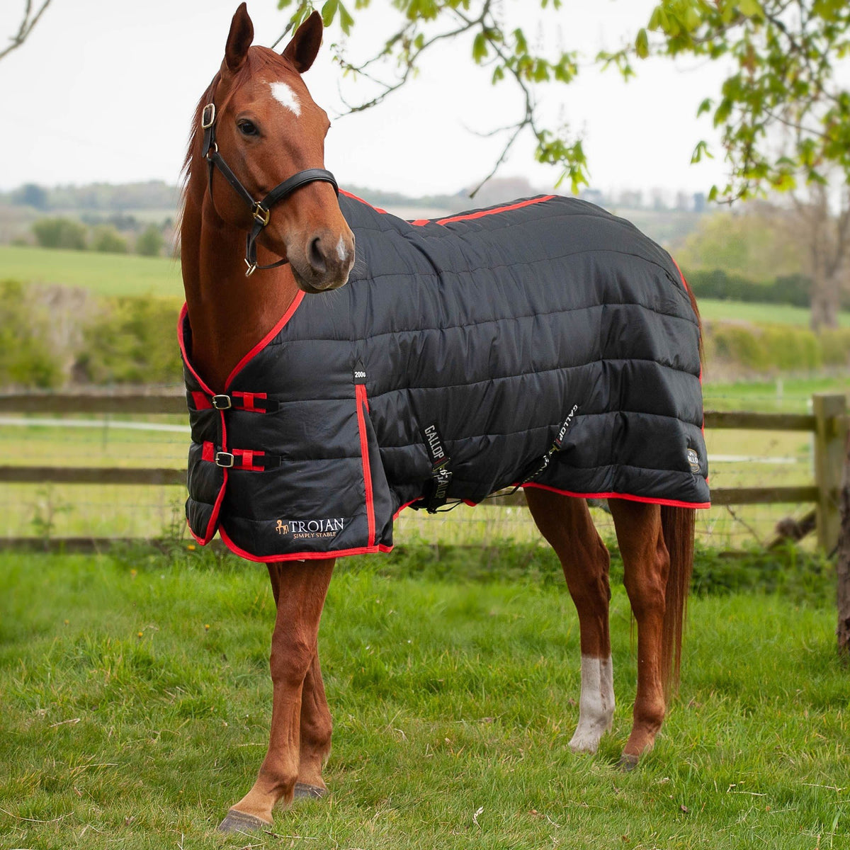 Gallop Trojan/ Maverick 200 Stable Rug Standard Neck