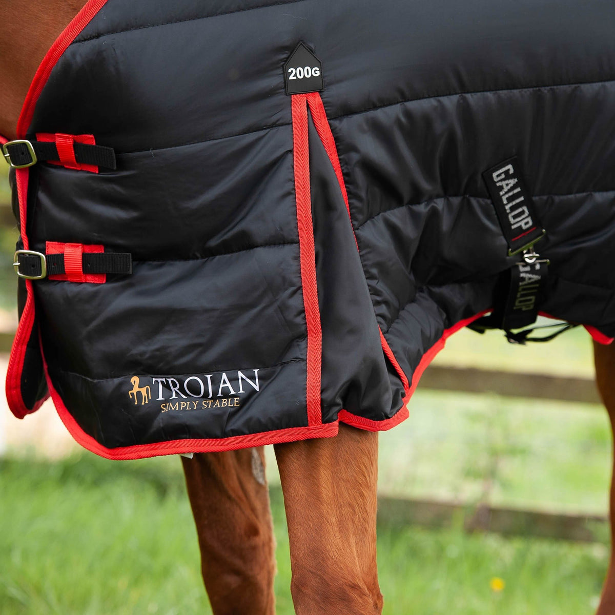 Gallop Trojan/ Maverick 200 Stable Rug Standard Neck