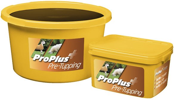 Pro Plus Pre Tupping - 20kg