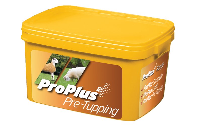 Pro Plus Pre Tupping - 20kg