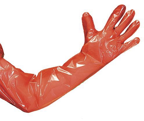Gloves Arm Length Disposable 100pk
