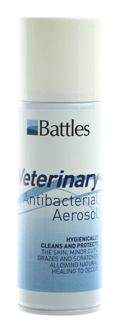 Battles Antibacterial Spray - 150g