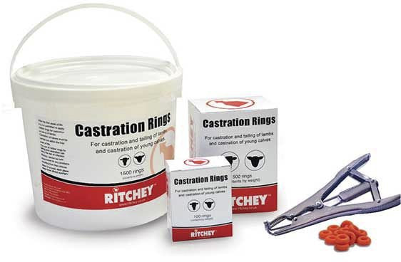 Castration Rings