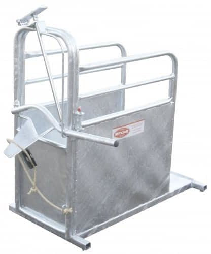 Cattle Dehorning Crates