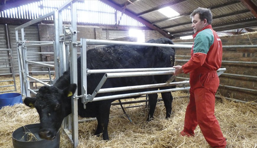 Ritchie Calving Gate 10'