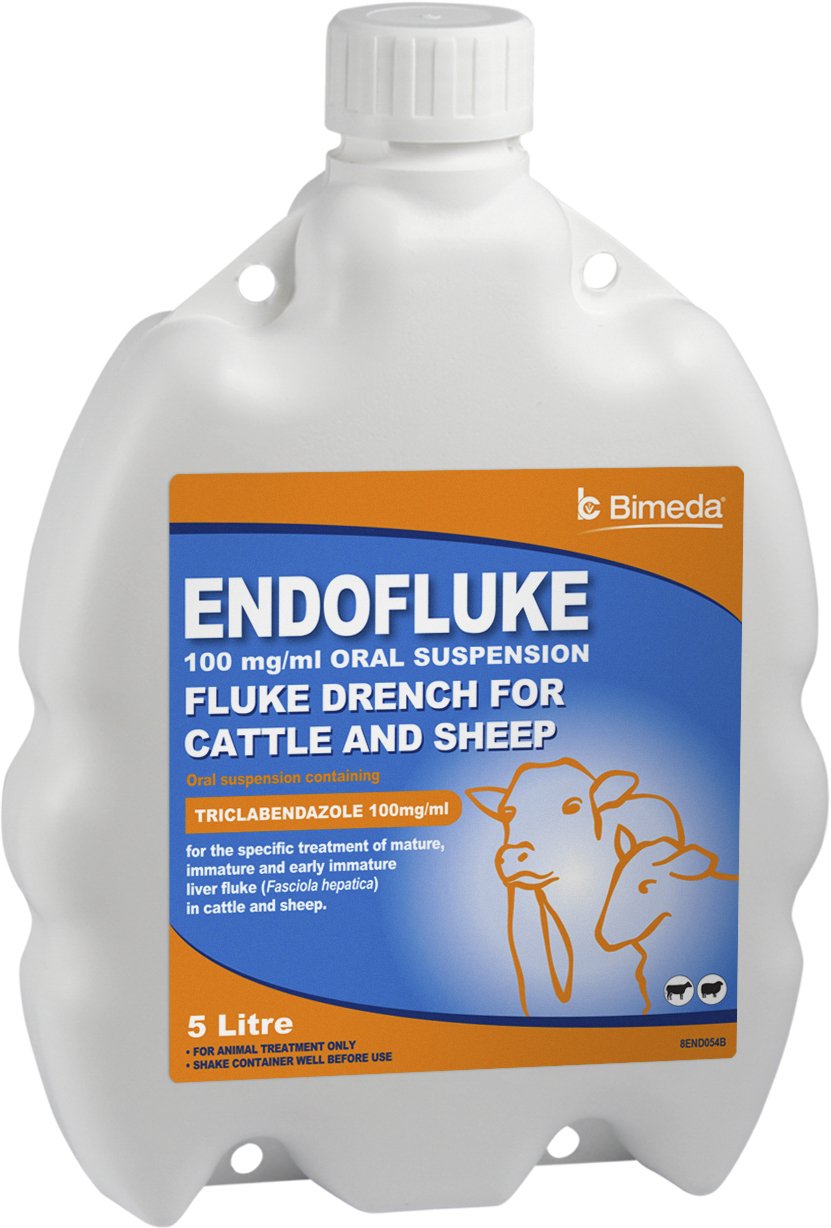 Endofluke