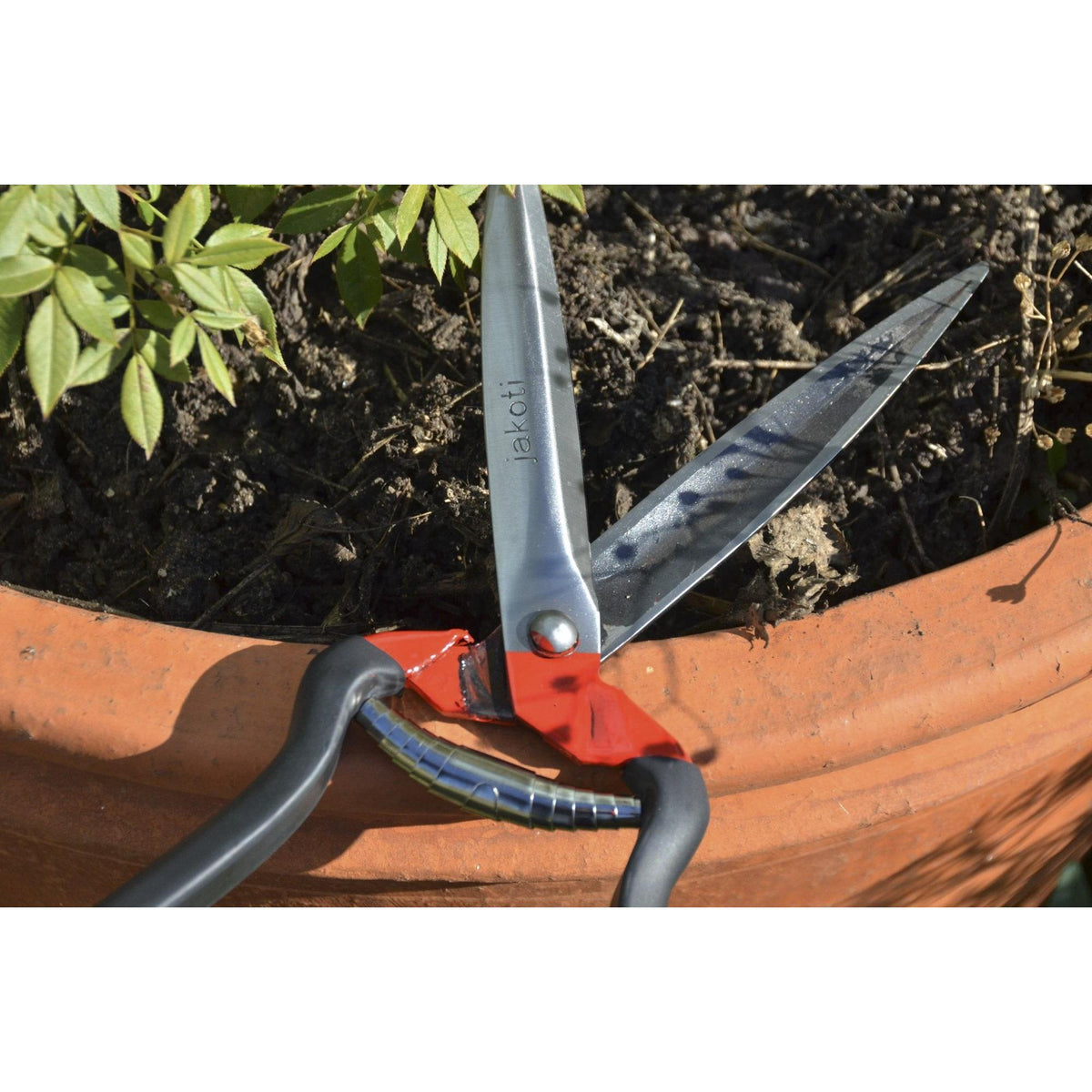 Jakoti Hand Shears