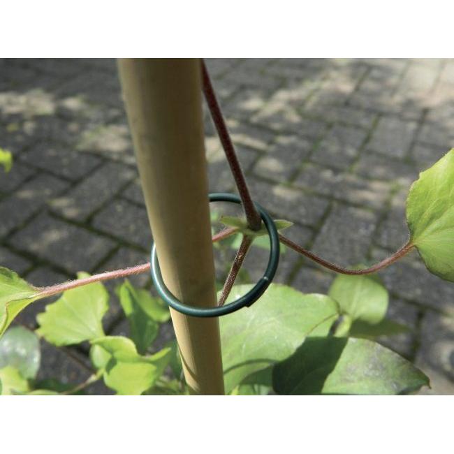 Garland Pvc Plant Rings