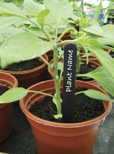 Garland Plant Labels 10cm 25pk