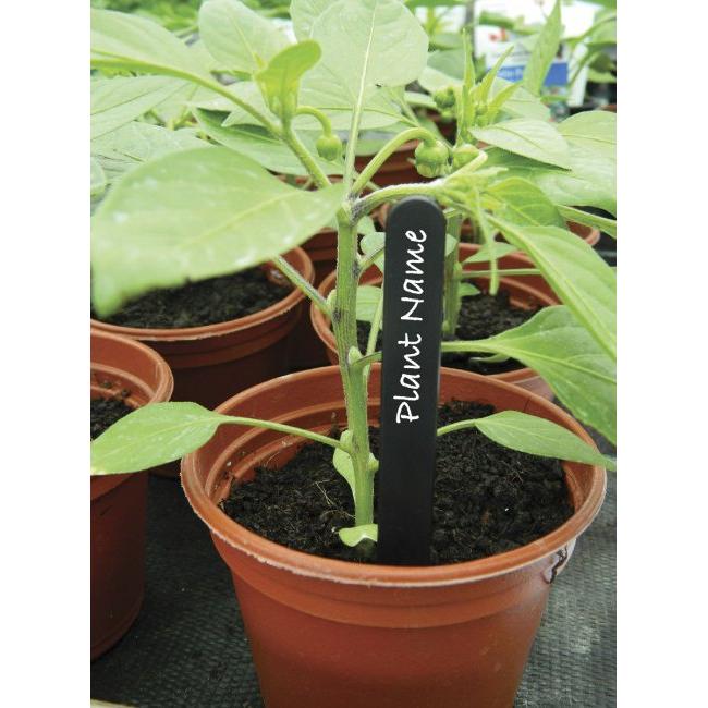 Garland Plant Labels 10cm 25pk