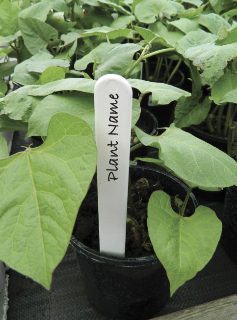 Garland Plant Labels 10cm 25pk