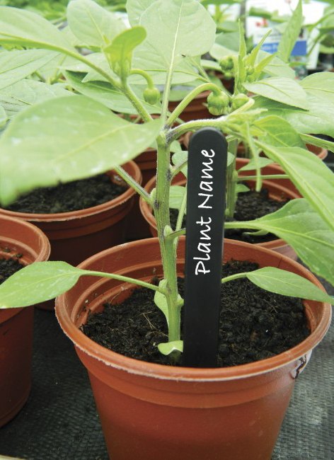 Garland Plant Labels 13cm 25pk