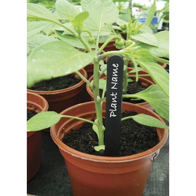 Garland Plant Labels 13cm 25pk