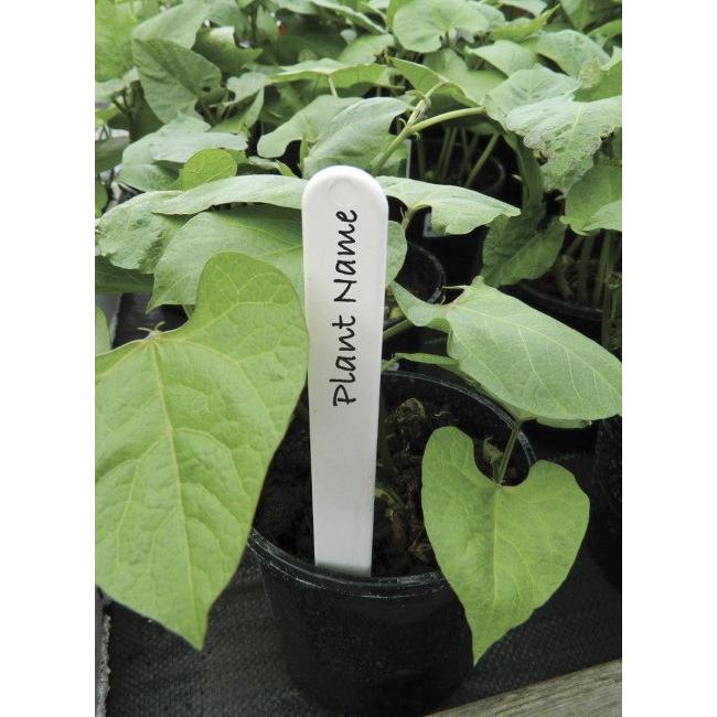 Garland Plant Labels 13cm 50pk