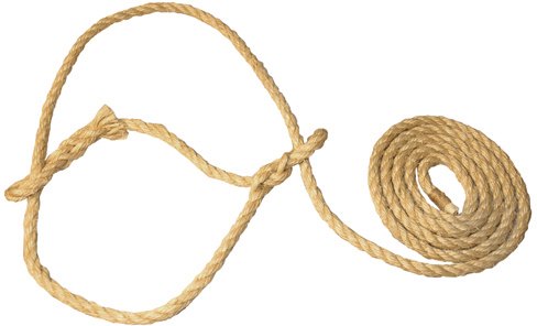Halter Cattle Sisal