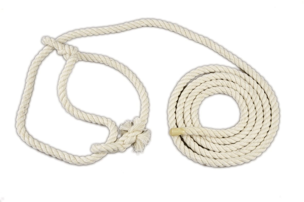 Halter Calf - Cotton
