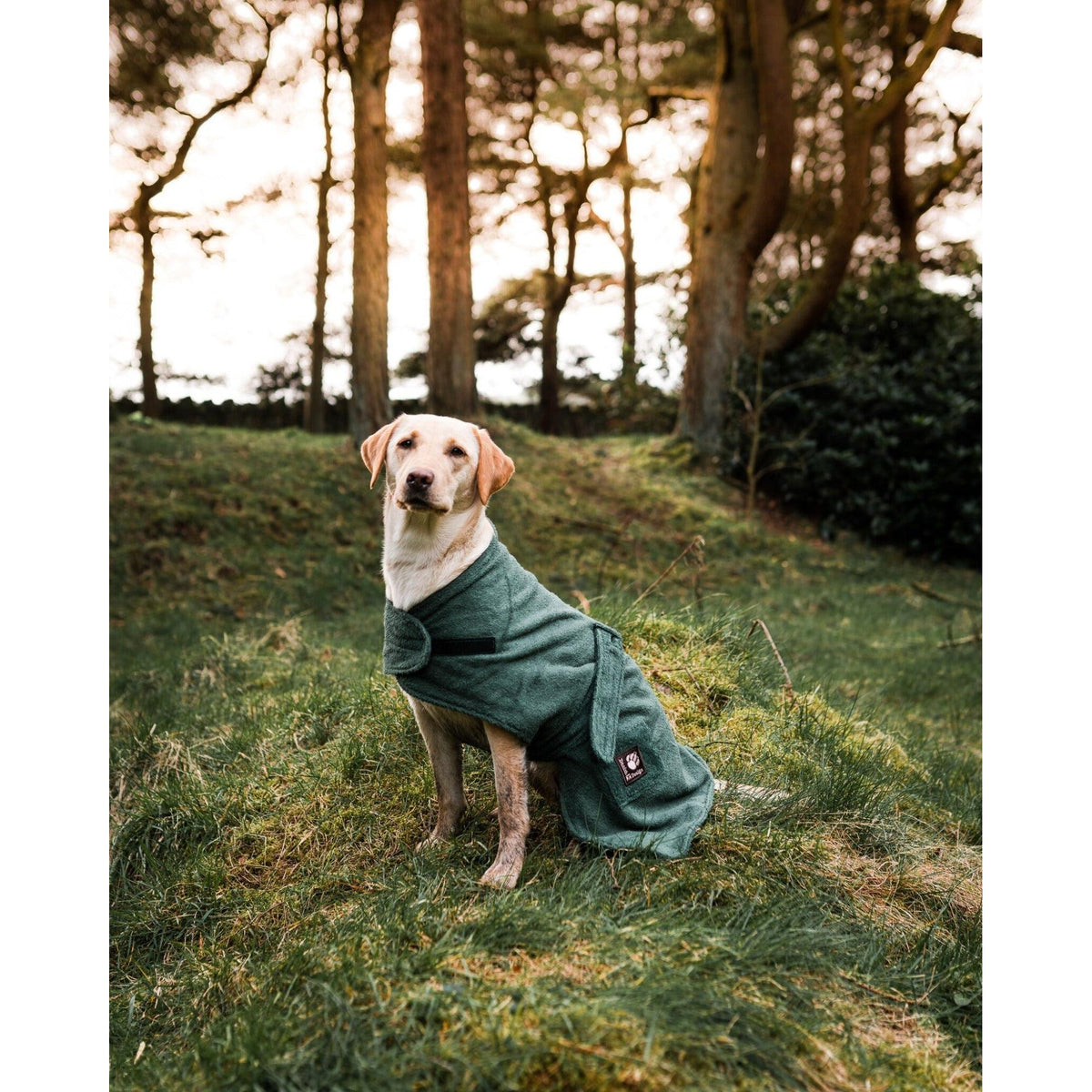 Towelling Dog Robe Green