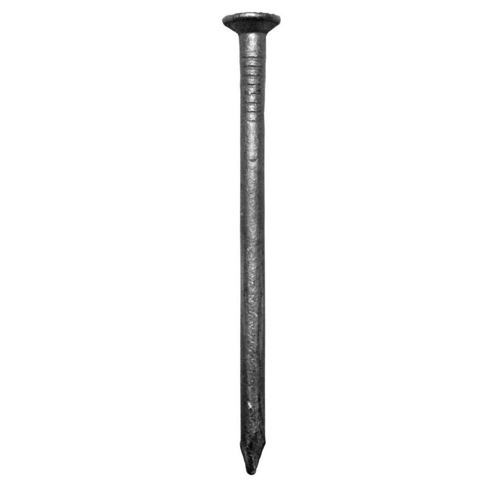 125mm Galv Round Wire Nail Pack