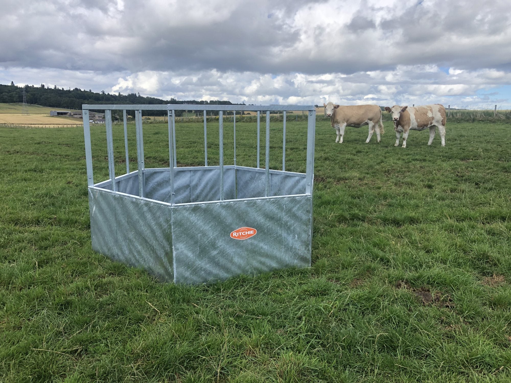 Hexagonal Feed Ring Cattle H/D Ritchie