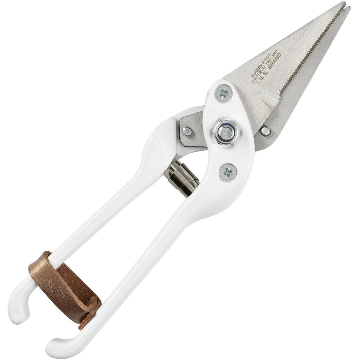 B&b Footrot Shears Superior Serrated