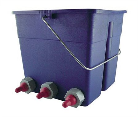 Special Lamb Bucket- 6 Teat