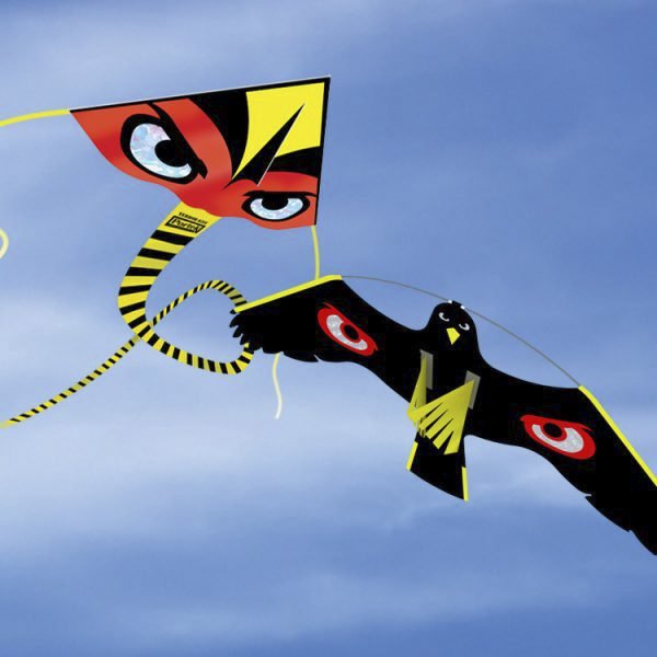 Terror Kite Complete Kit