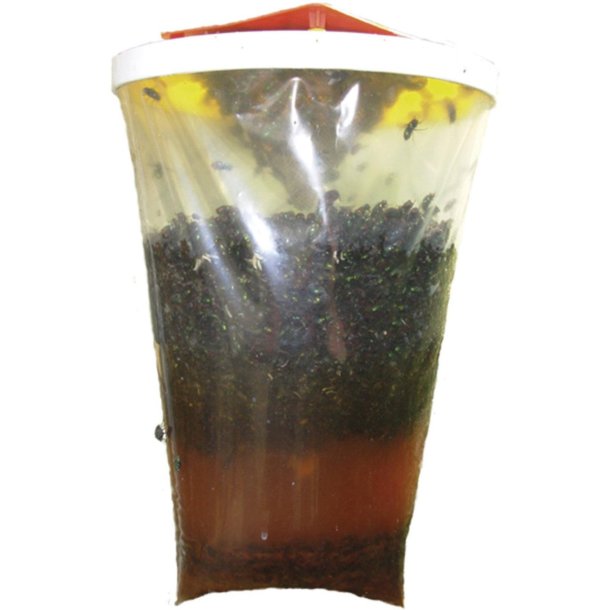 Redtop Fly Trap