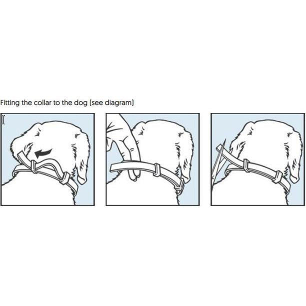 Seresto Flea Collar