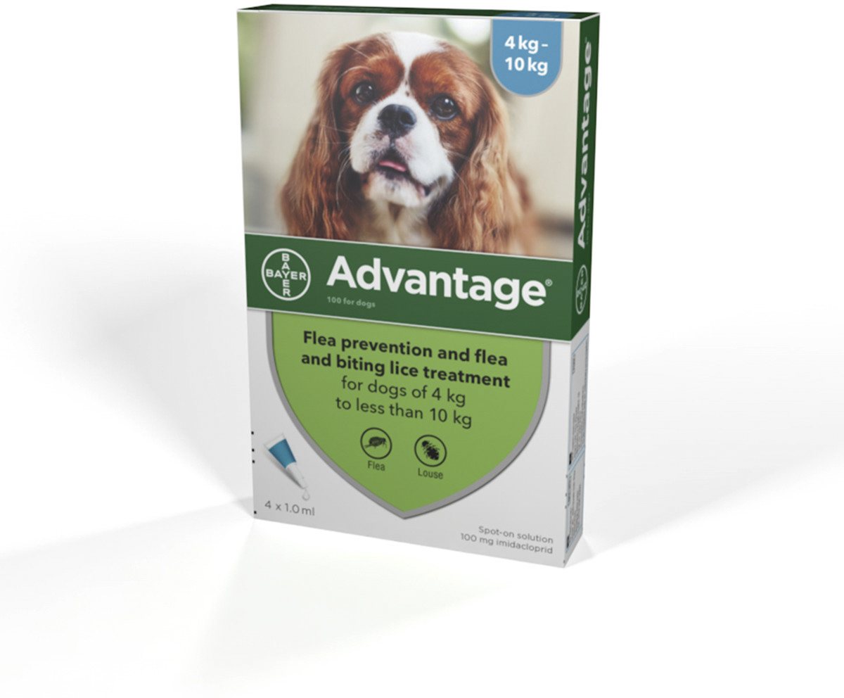 Advantage Anti-flea - 4 Pipettes