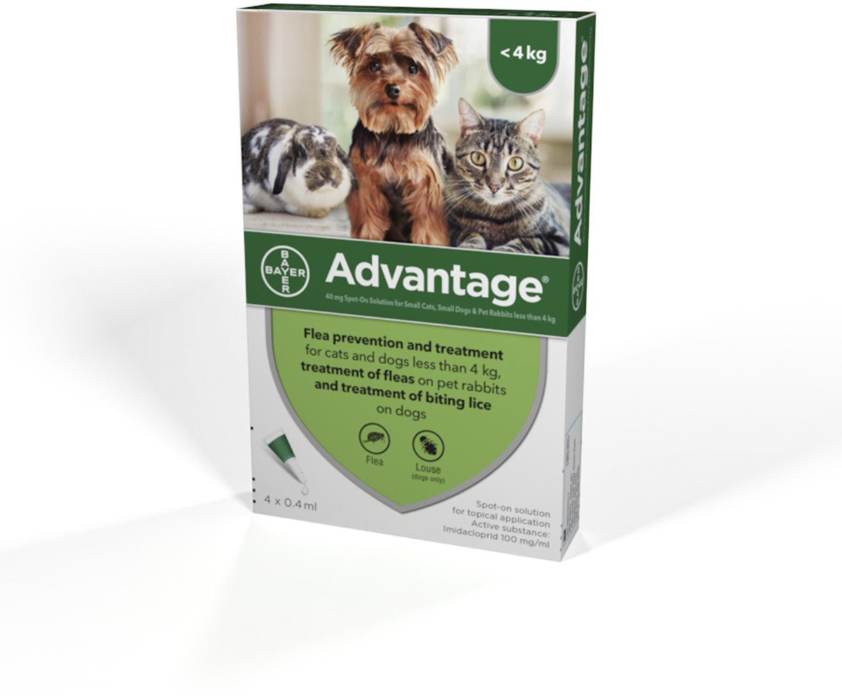 Advantage Anti-flea - 4 Pipettes