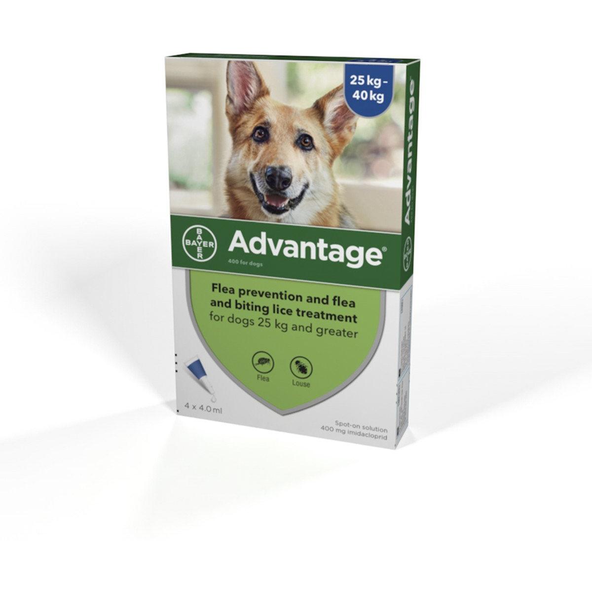 Advantage Anti-flea - 4 Pipettes