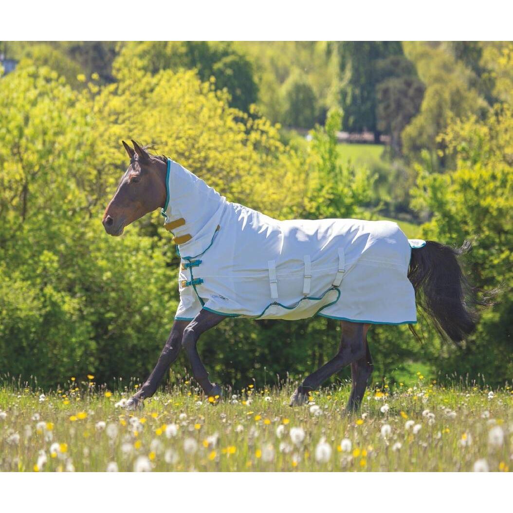 Shires Tempest Plus Sweet Itch Combo