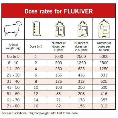 Flukiver