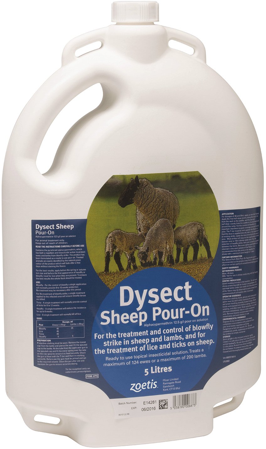 Dysect Sheep Pour On - 5l