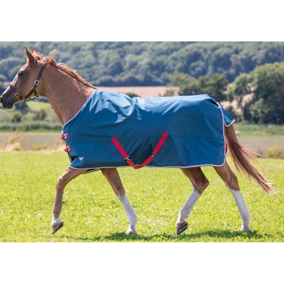Shires Tempest Original Lite Turnout Rug